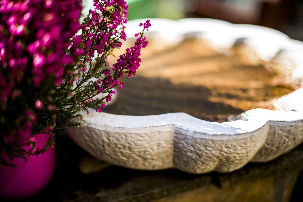 Feng Shui Wellness Apartmanhaz Hévíz المظهر الخارجي الصورة